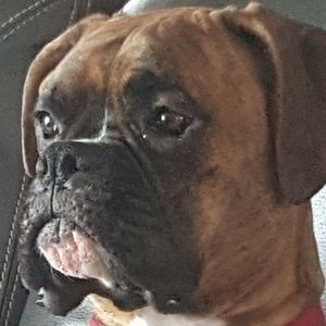 Meet your Posher, Rob